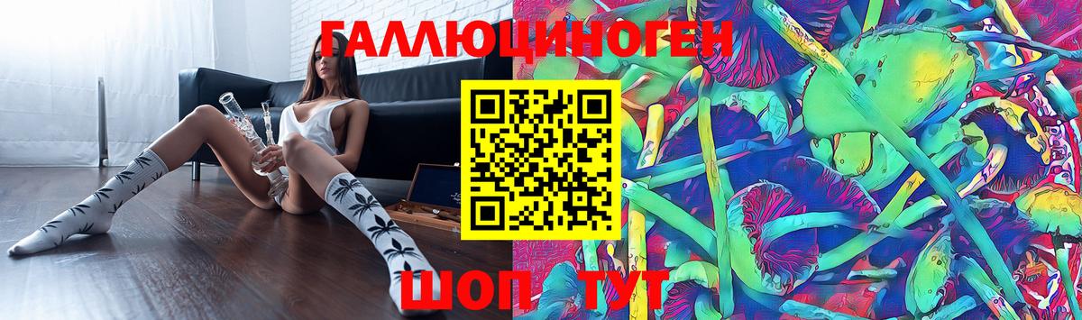 Псилоцибиновые грибы прущие грибы  Вход с VPN  Хасавюрт 